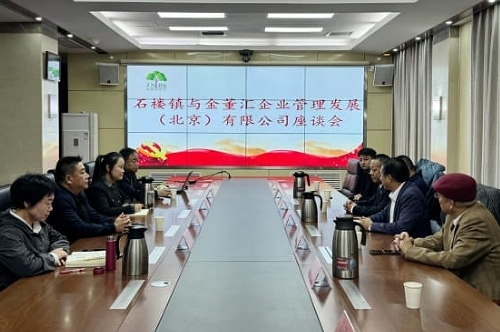 京南绿宝石 幸福新石楼，金董汇负责人邢星赴房山区石楼镇考察调研