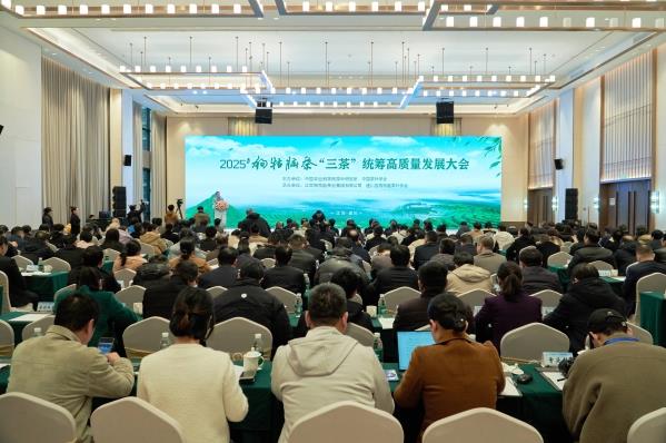 2025年狗牯脑茶“三茶”统筹高质量发展大会及品鉴交易会举办