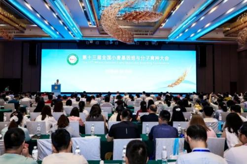 第十三届全国小麦基因组与分子育种大会举办