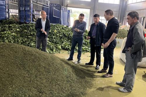 安徽省蚕学会赴安徽歙县开展科技服务活动